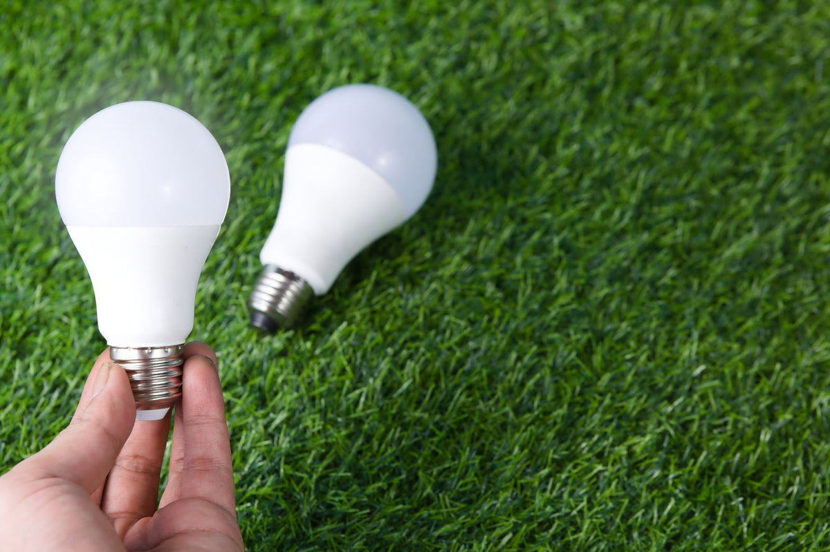 Energiesparende LED-Glühbirne auf grünem Gras